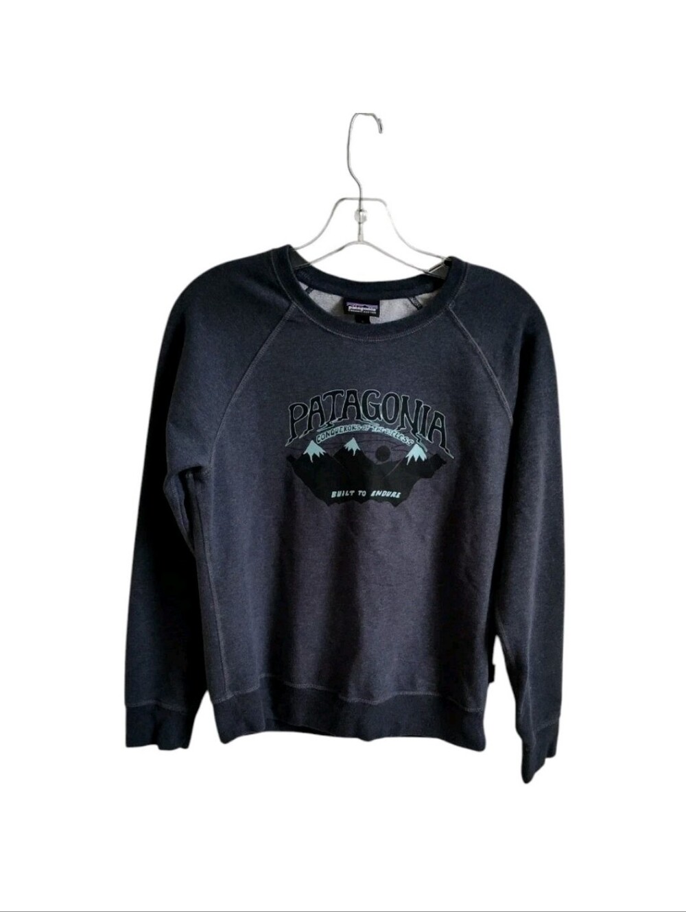 Patagonia Conquerors of the Useless Sweatshirt Womens S Blue Organic Cotton